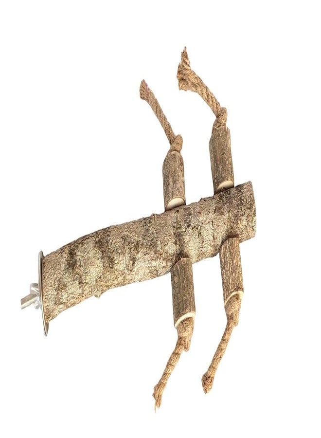 مجثم طيور عضوي من SS Organic®، مجثم خشبي طبيعي للببغاء، لعبة حاملة للطيور الصغيرة والمتوسطة الحجم، ملحق قفص الكوكاتيل والباراكيت والكونيور، حيوانات صغيرة - ملحقات وألعاب ولوازم - Image 5